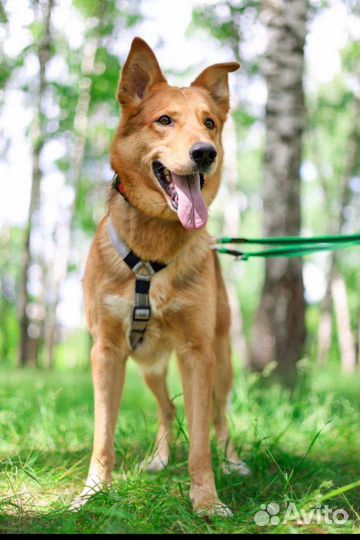 Мне грустно и одиноко