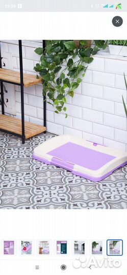 Лоток для животных