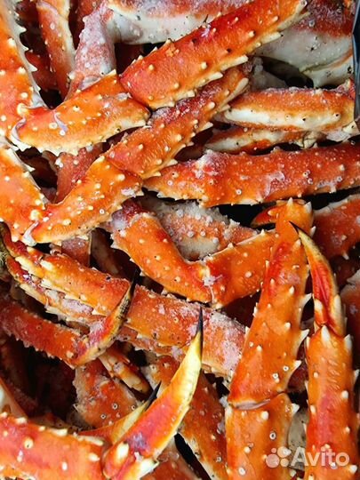 Краб Kамчатcкий