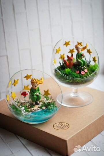 Флорариум моссариум подарок Маленький принц