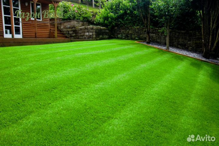 Газон рулонный укладка