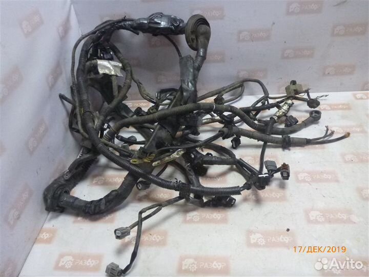 Проводка моторного отсека Infiniti Fx37 S51