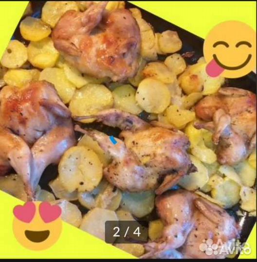 Мясо перепелов