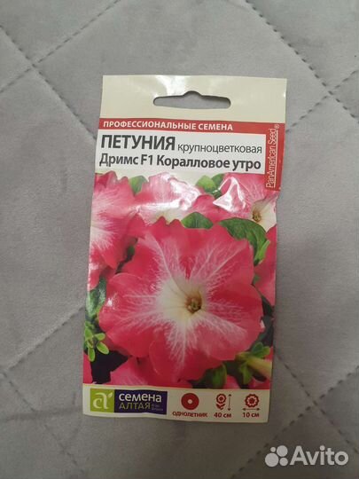 Семена петунии