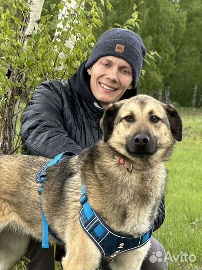 Величественный мальчик из приюта