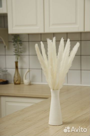 Пампасная трава, кортадерия, сухоцветы