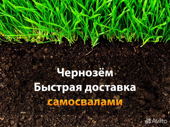 Чернозём