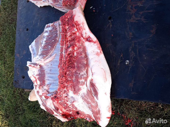 Продам сало свинины