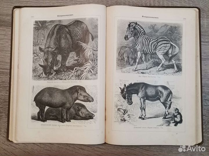 Раритетная книга