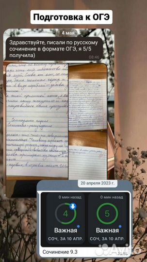 Репетитор по русскому языку (огэ)