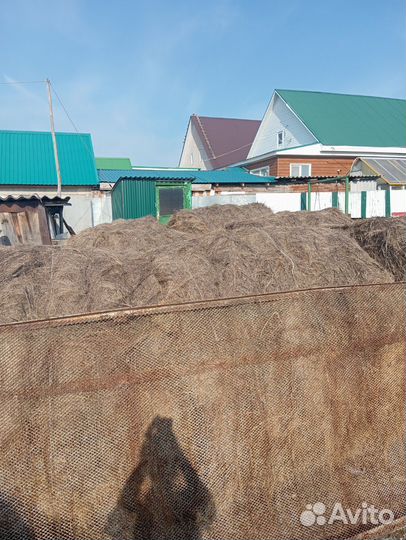 Продам сено в рулонах