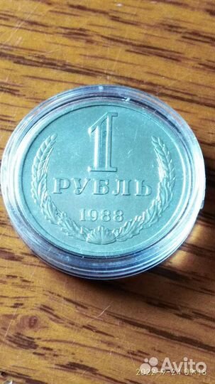 Годовики обмен