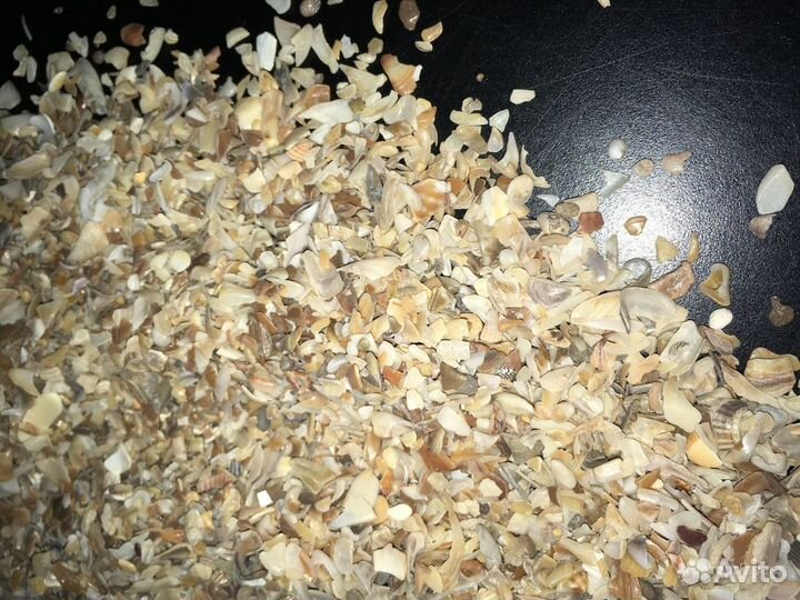 Ракушка кормовая для птиц 1 кг