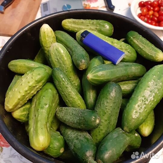 Огурцы свежие