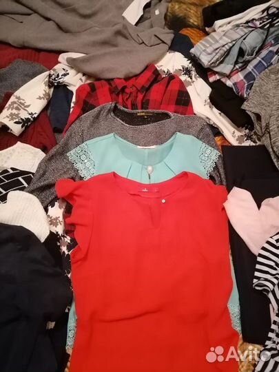 Женская одежда