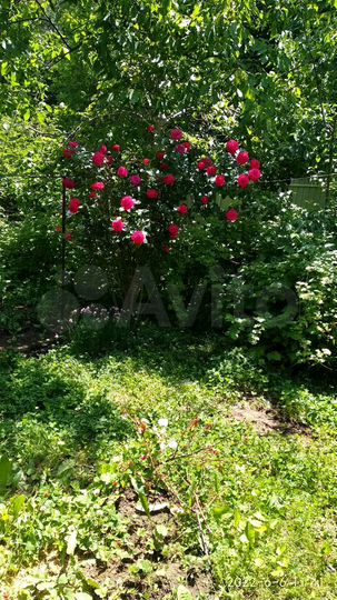 Дача 40 м² на участке 4 сот.