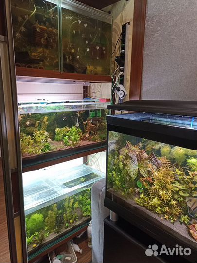 Аквариум