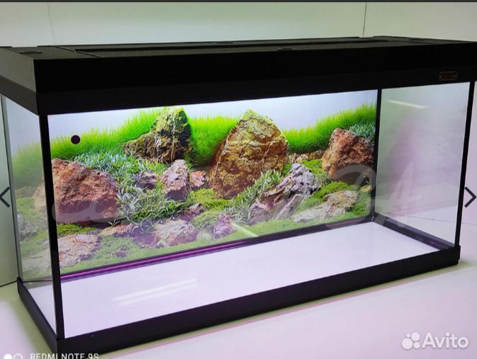 Террариум для красноухой черепахи