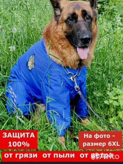 Дождевик для большой собаки