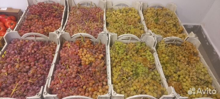 Виноград на вино