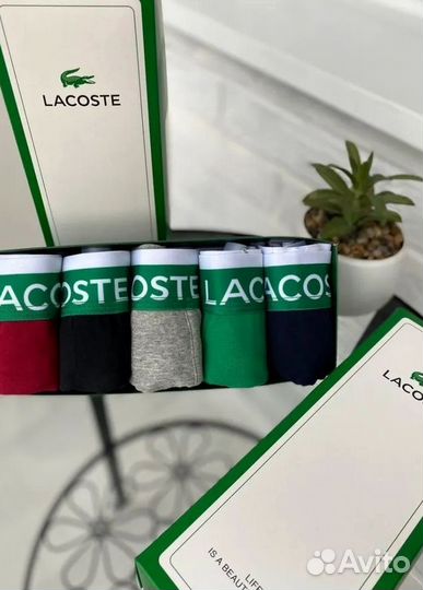 Мужские трусы Lacoste