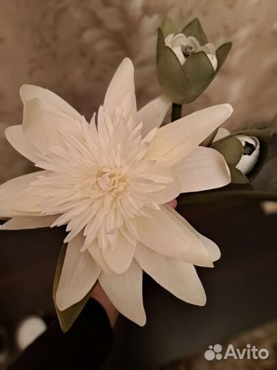 Искусственный гиппиаструм из икеа