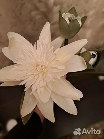 Искусственный гиппиаструм из икеа