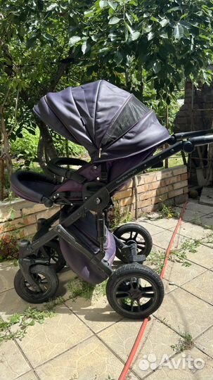 Коляска Noordline Stephania 2 в 1