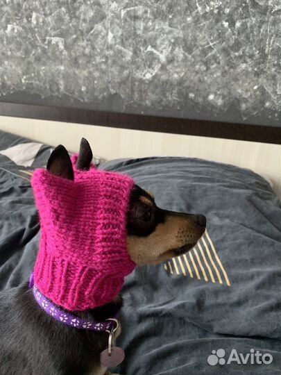 Шапка для собак маленьких пород