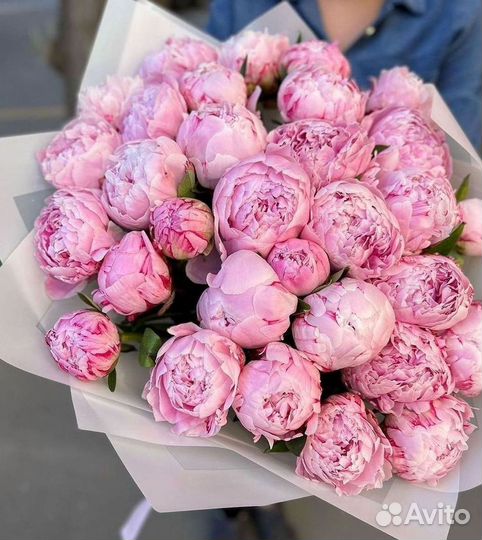 Пионы Цветы Доставка