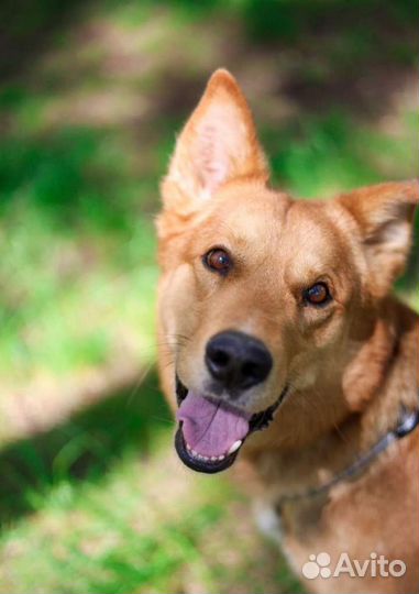 Мне грустно и одиноко