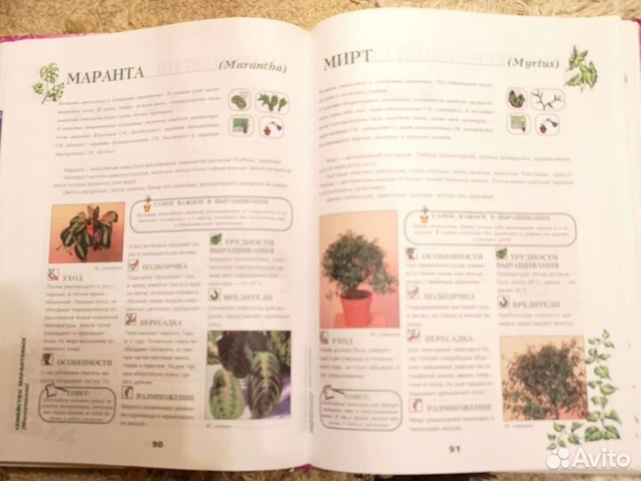 Книга комнатные растения