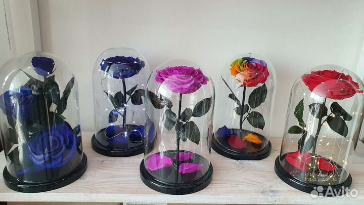 Вечная Роза в колбе красная в ассортименте