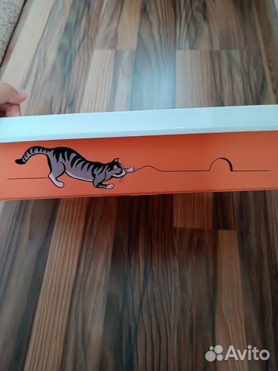 Котёнок беплатно