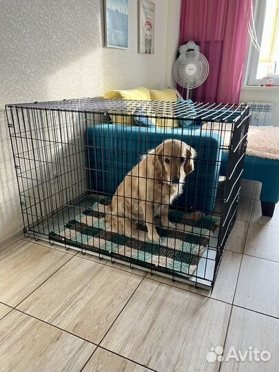 Клетка №6 для крупных собак