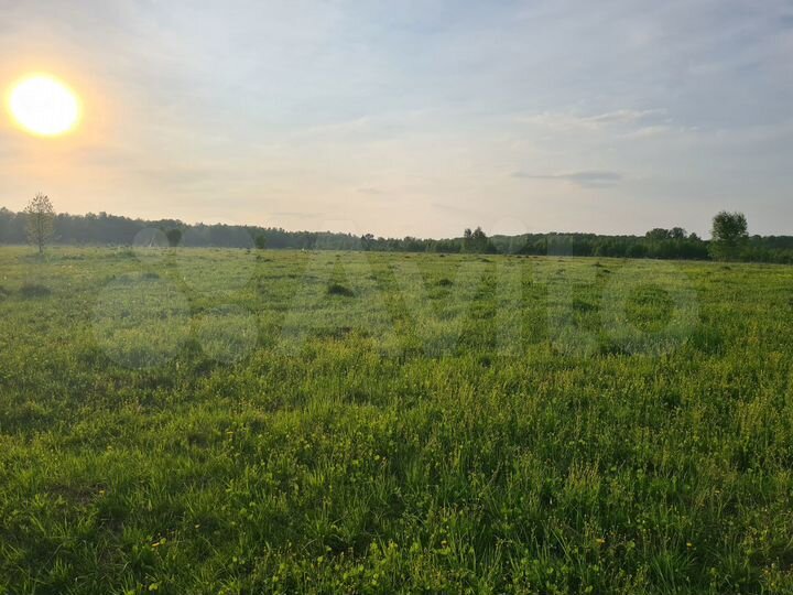 Участок 14 сот. (СНТ, ДНП)