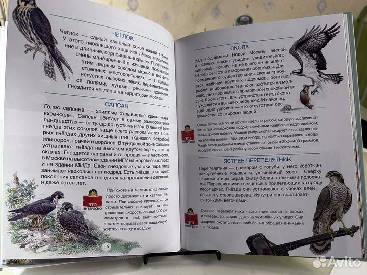 Кто живёт рядом с нами книга