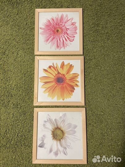 Картины и постеры IKEA