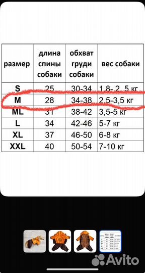 Комбинезон демисезонный для собак мелких пород