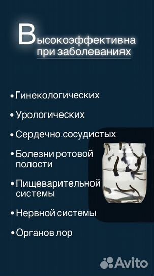 Купон на оздоровление пиявками