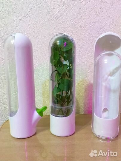 Контейнер для укоренения растений