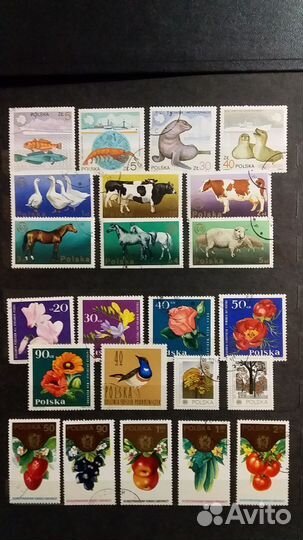 Почтовые марки Польши 