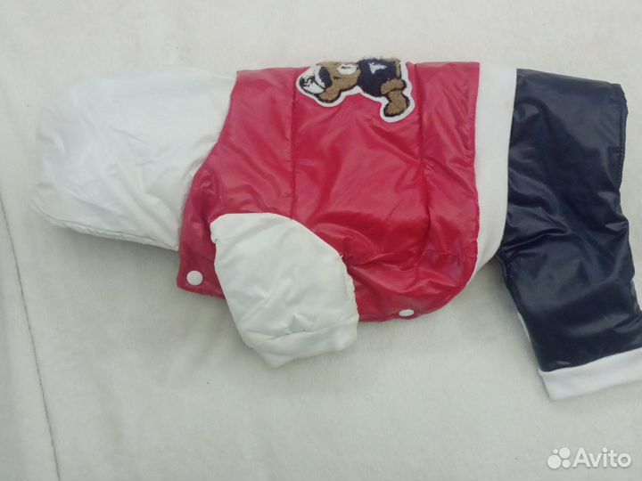 Костюм для средней собаки