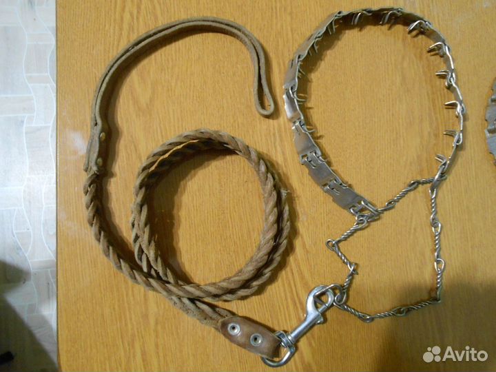Строгий ошейник для собак