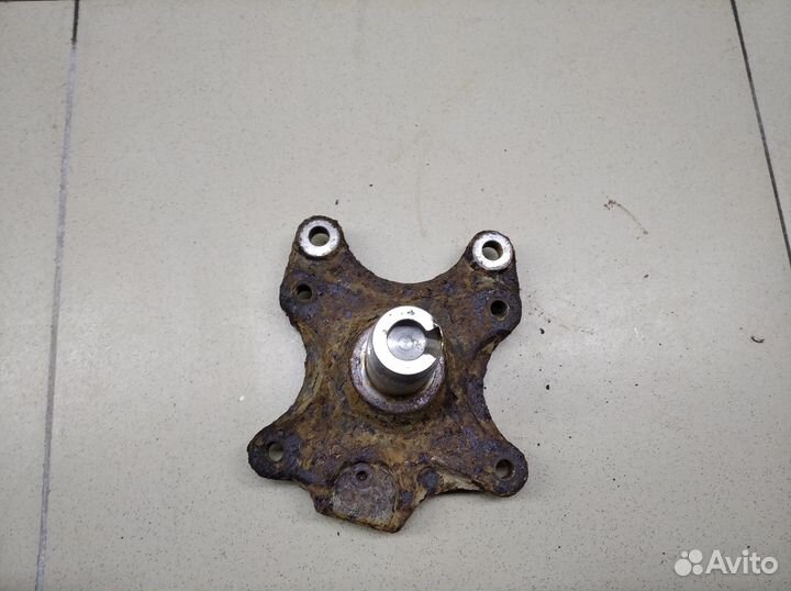 Цапфа (п.з.к.) C4 II 2011