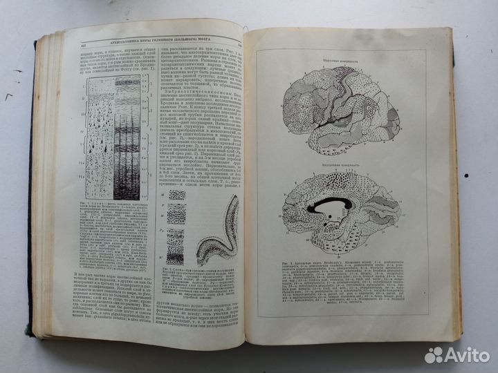Старинная книга антикварная по медицине 1928 год