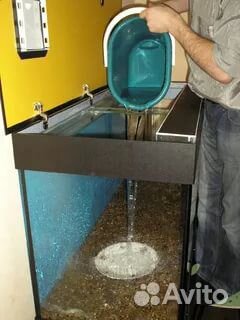 Чистка,обслуживание аквариумов в СПб и Лен.обл