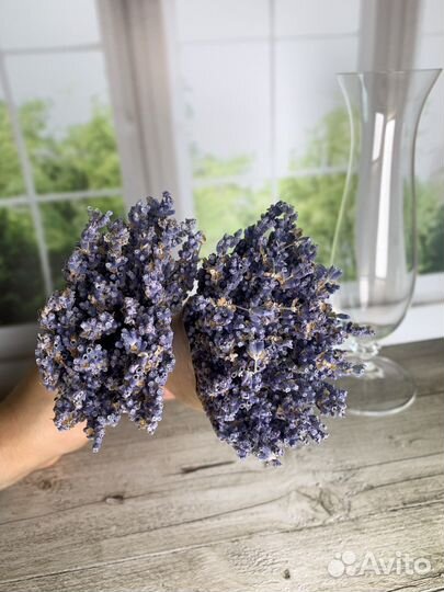 Лаванда ароматная букет сухоцвет