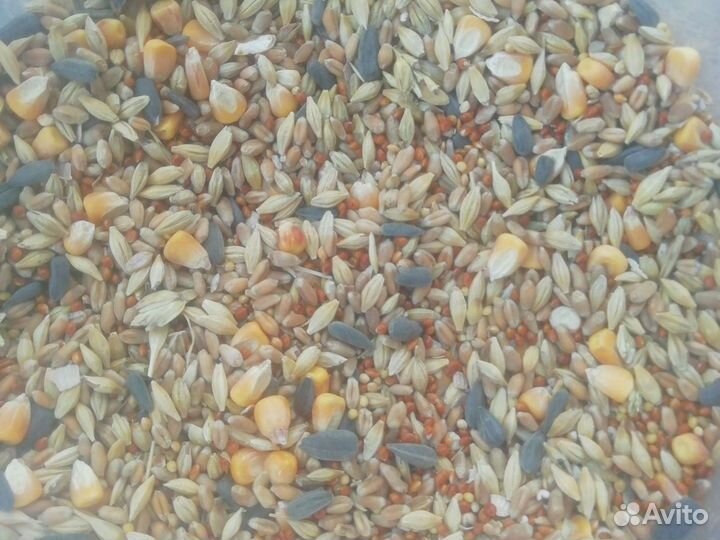 Зерносмесь дробленая для С/Х животных С/Х Птиц