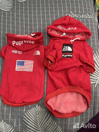 Толстовка для собаки новая
